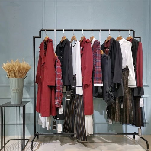 梵凯秋冬装鸭绒羽绒服特价冬季女装外套批发，三疯服装批发城优质选择